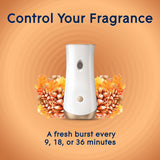 Glade Automatic Spray Refill - Comforting Cashmere Woods, 3 Refills (6.2 oz Each)