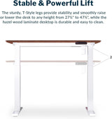 Vari Essential Electric Standing Desk, 48 x 24 in, Hazel Wood