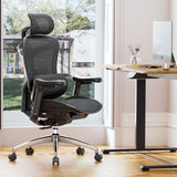 Sihoo Doro-C300 Ergonomic Chair, 3D Armrests  Swivel Chair, Adaptive Lumbar Support Office Chair, Ergonomic Desk Chairs for Adults, Comfort Home Office Chair, Black (Set of 1))