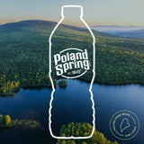 Poland Spring Maine Spring Water, 16.9 Fl Oz, 35-Pack Plastic Bottles