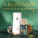 Glade Automatic Spray Refill - Balsam & Spruce, 3 Refills (6.2 oz Each)