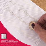 DocuGard Standard Marble Top Blue Security Checks, 8.5 x 11, 2500 Sheets (Carton 5x500) - view 5