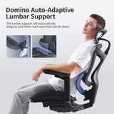 Sihoo Doro-C300 Ergonomic Chair, 3D Armrests  Swivel Chair, Adaptive Lumbar Support Office Chair, Ergonomic Desk Chairs for Adults, Comfort Home Office Chair, Black (Set of 1))