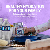 Pure Life Purified Water, 16.9 Fl Oz, 35-Pack Plastic Bottles