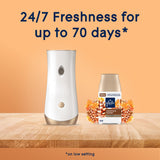 Glade Automatic Spray Refill - Comforting Cashmere Woods, 3 Refills (6.2 oz Each)