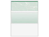 DocuGard Standard Security Check, 11 Features, 8.5 x 11, Green Marble Top, 500/Ream